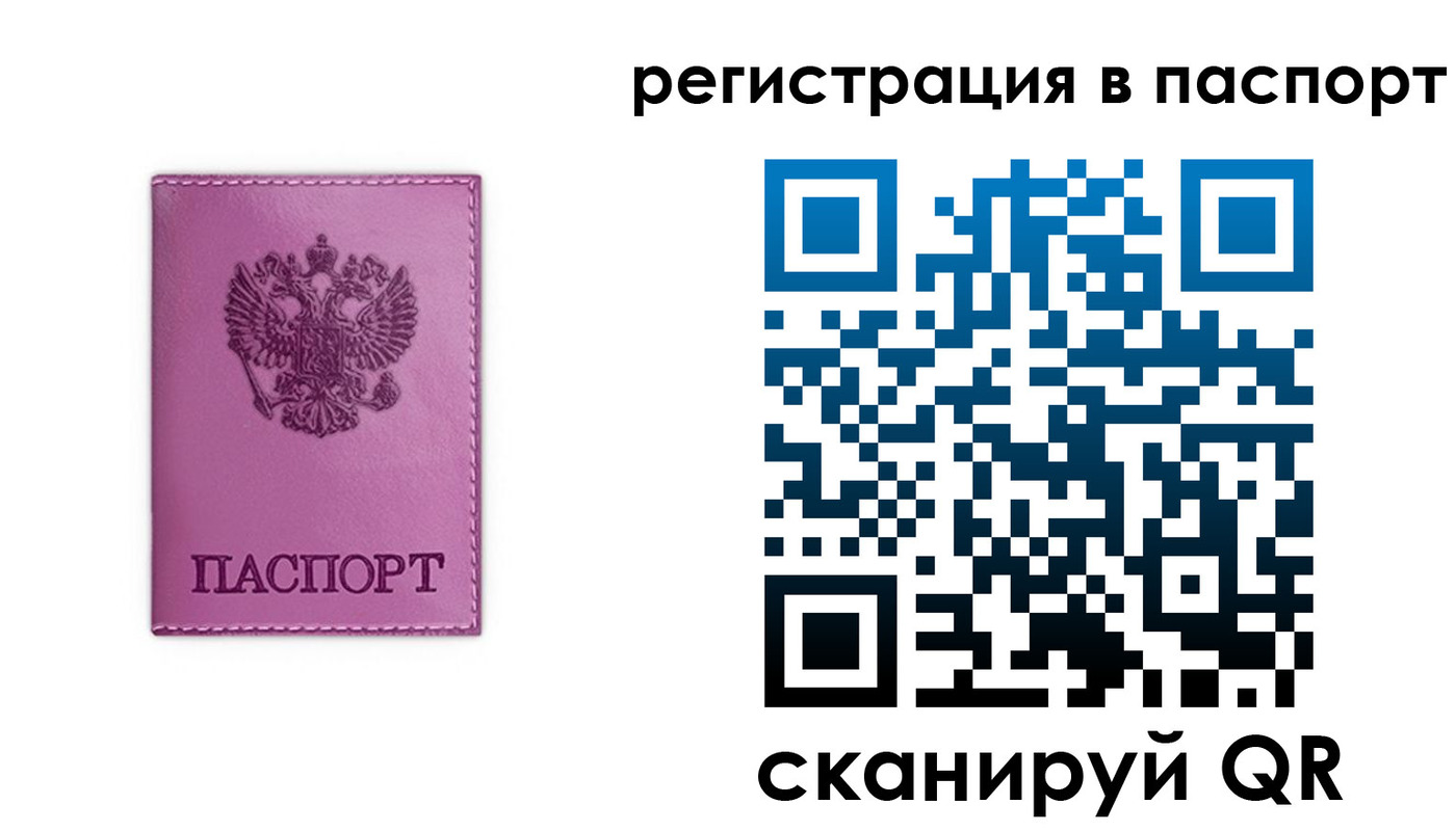 прописка в Светлограде